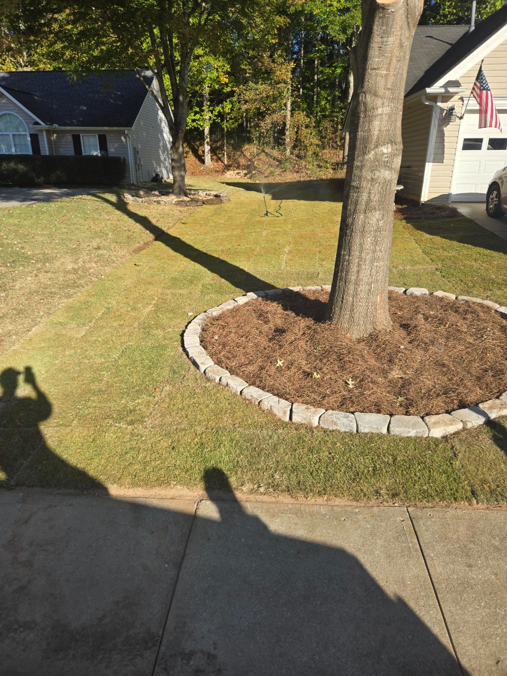 Sod Install in Newnan