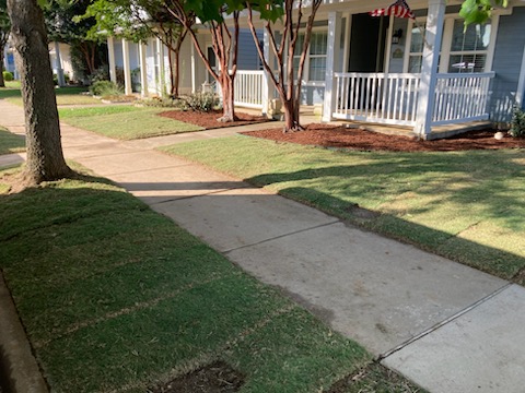 Sod Installation in Prosper