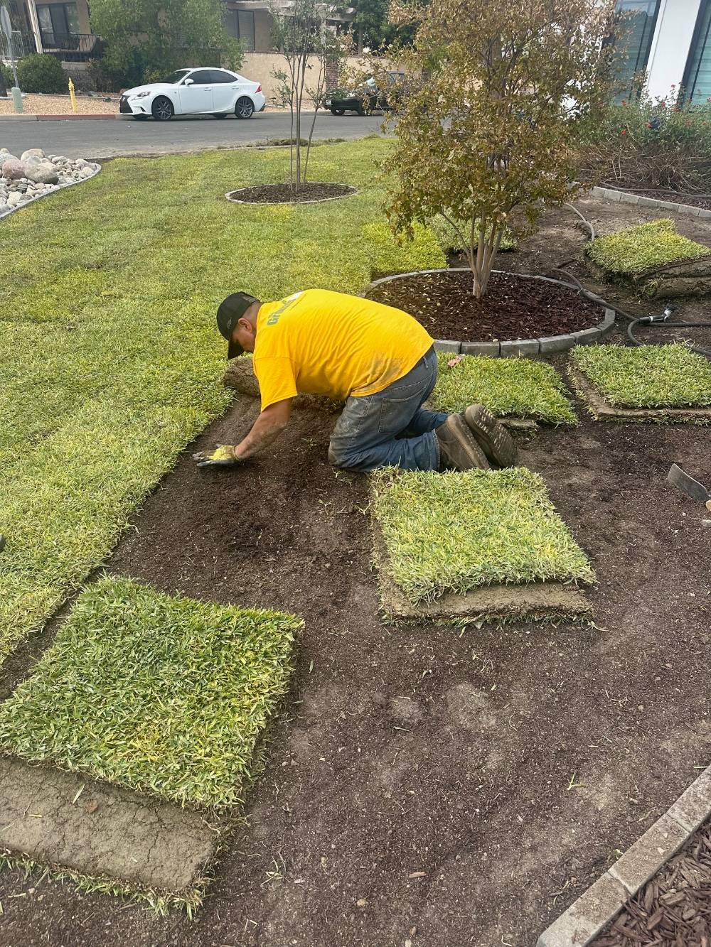 Sod, Flower Beds, Irrigation and Tree Install in Canyon Lake