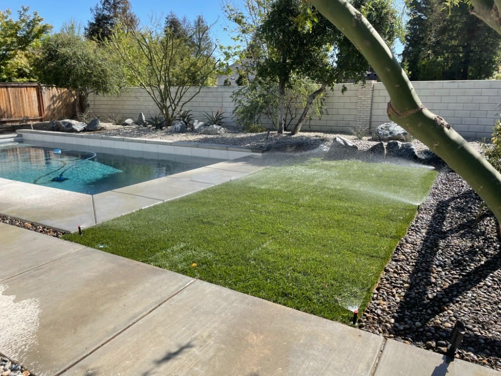 Sod Install in North Fresno-Madera