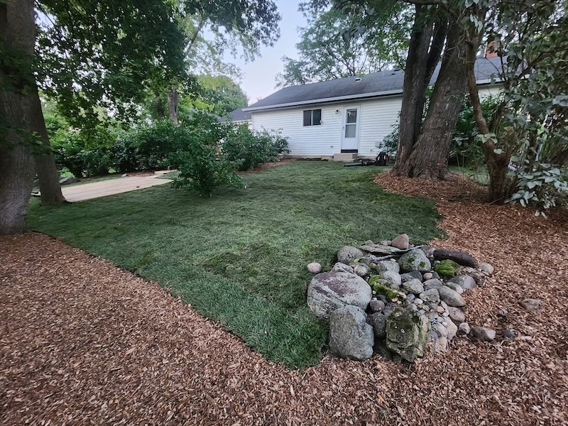 Backyard renovation with fresh sod, mulch, and decorative stone feature installed by The Grounds Guys of McHenry for a complete landscape transformation.