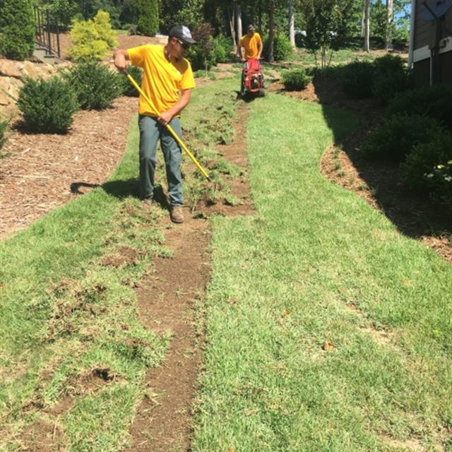Someone is mowing the lawn.