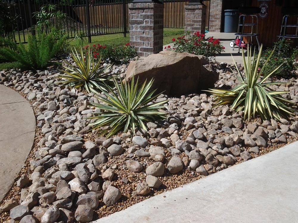 Stone landscape with desert plants