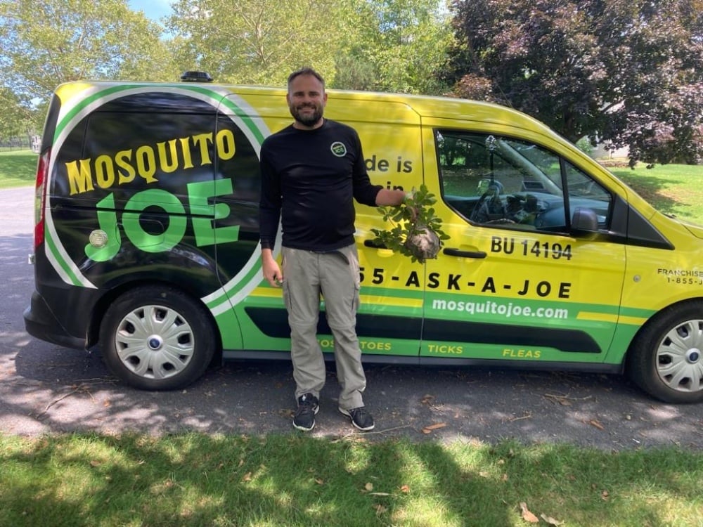 Bald-faced hornet nest removal in Bethlehem