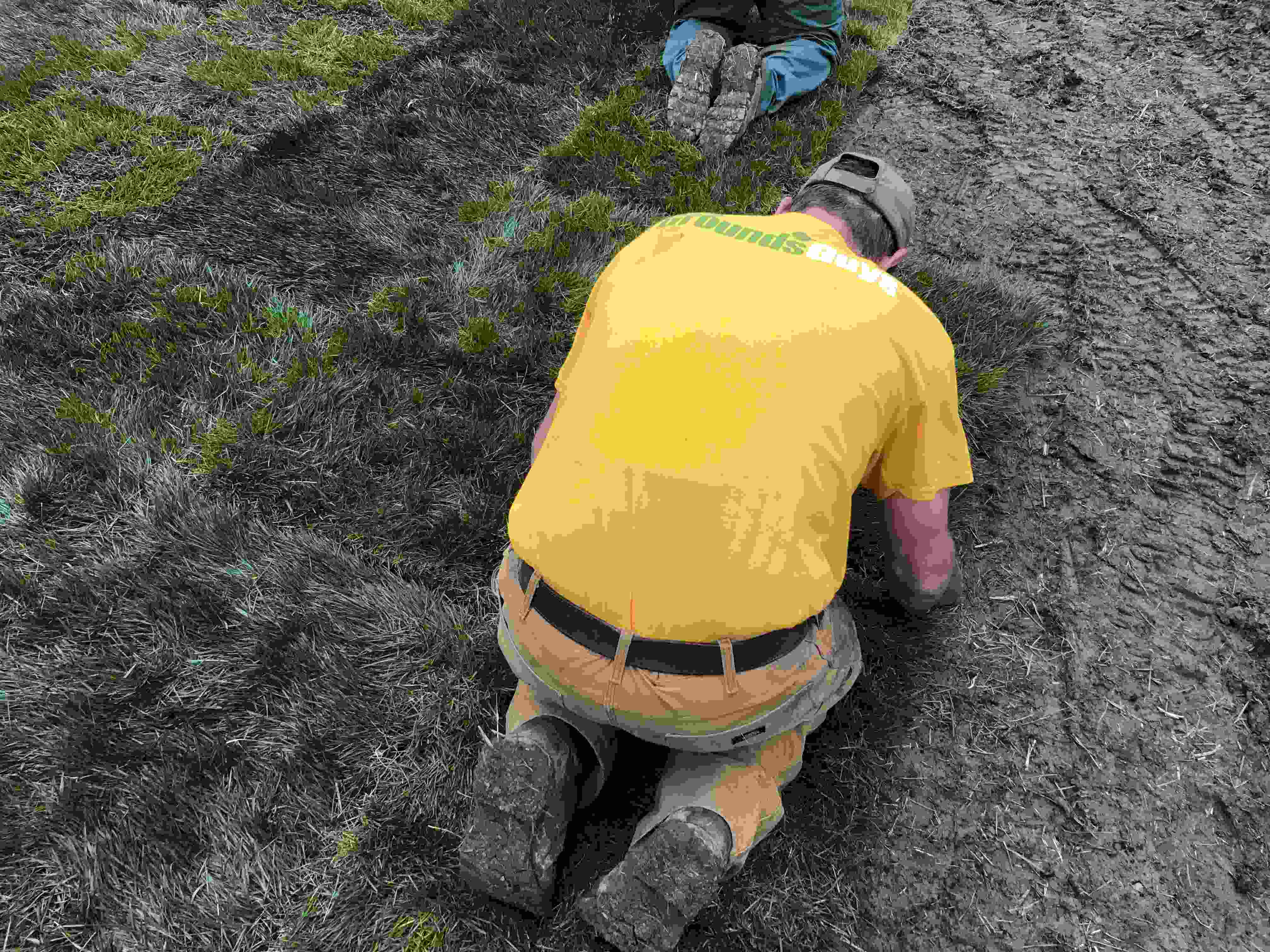 The Grounds Guys laying grass