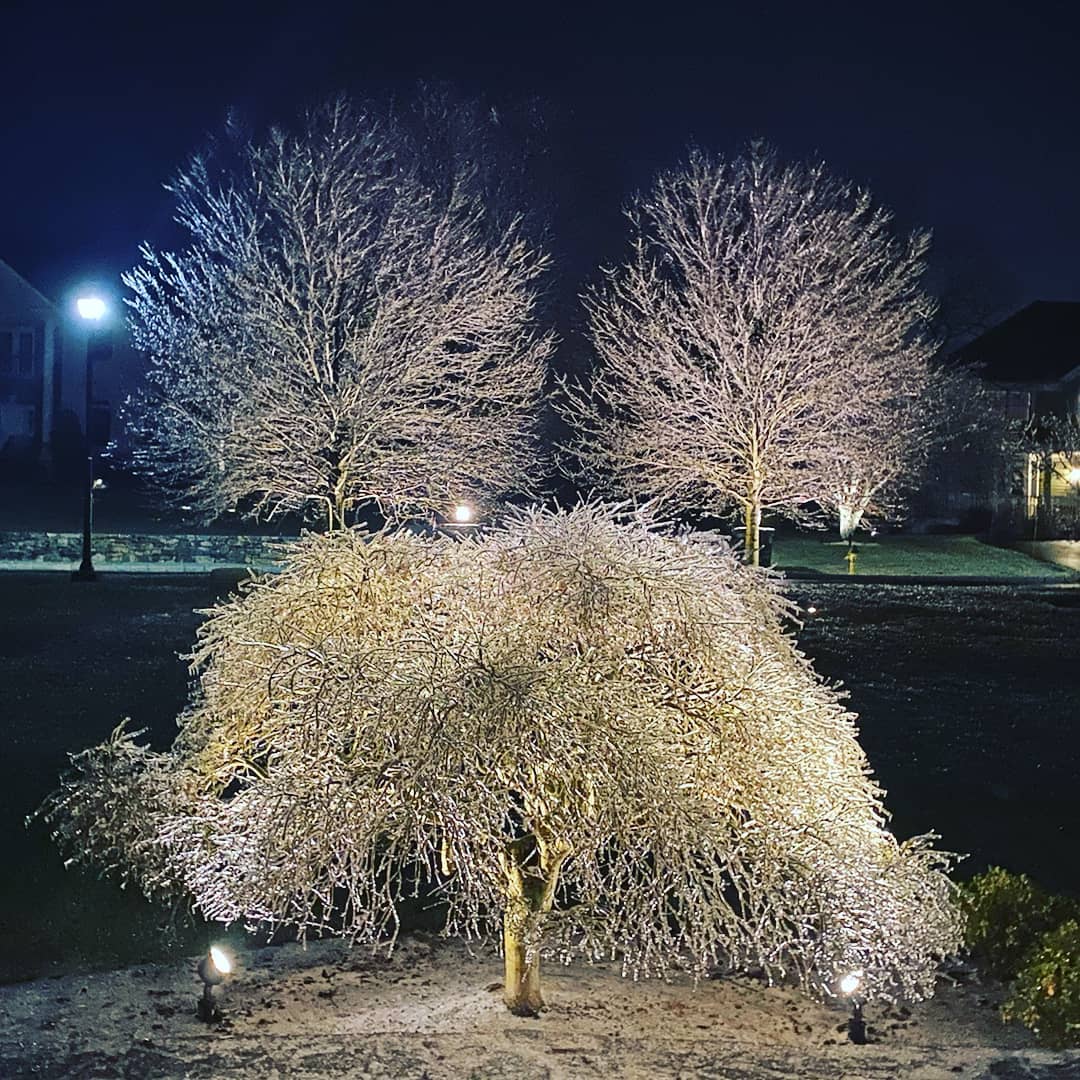 The Grounds Guys of Armonk and Greenwich Landscape Design and Install