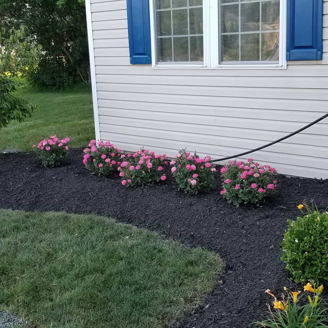 The Grounds Guys of Avon General