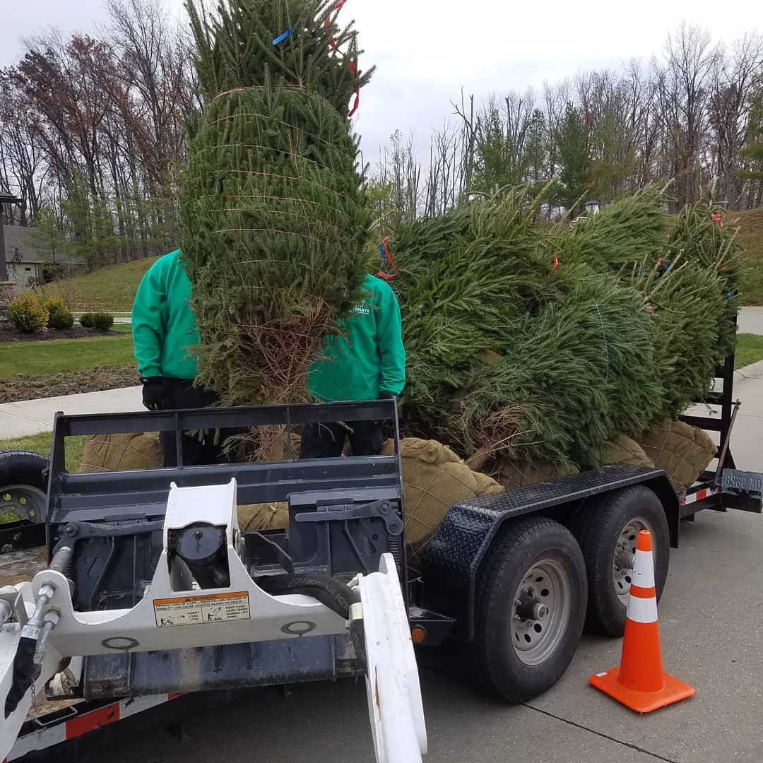 The Grounds Guys of Avon General