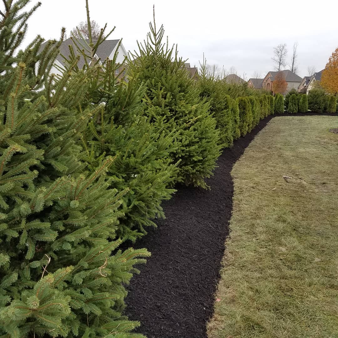 The Grounds Guys of Avon General