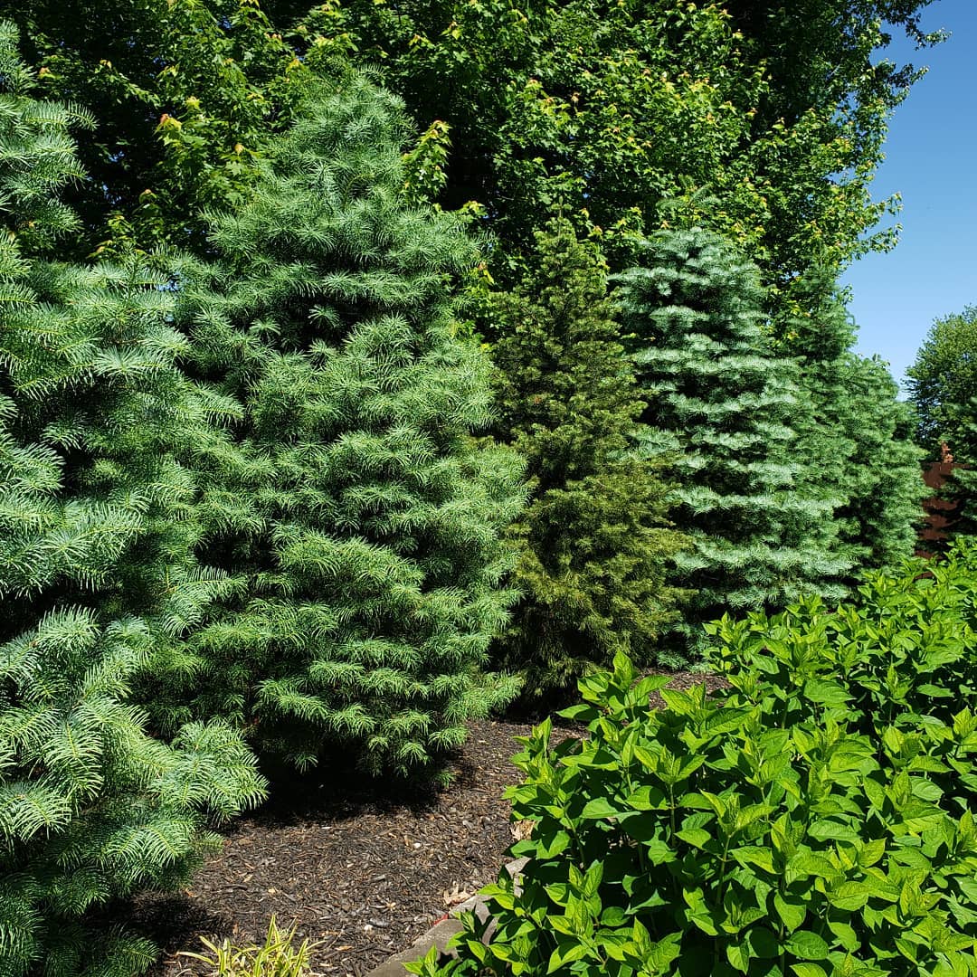 The Grounds Guys of Avon General