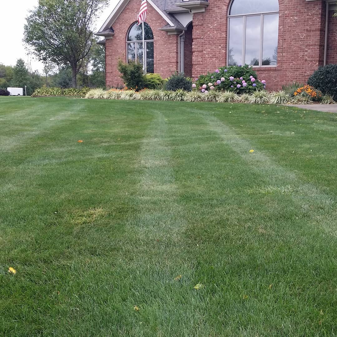 The Grounds Guys of Avon General