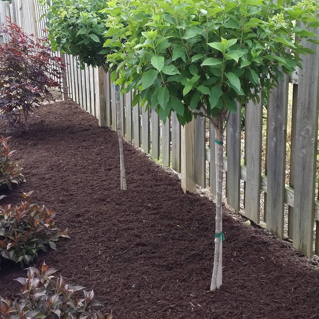 The Grounds Guys of Avon General