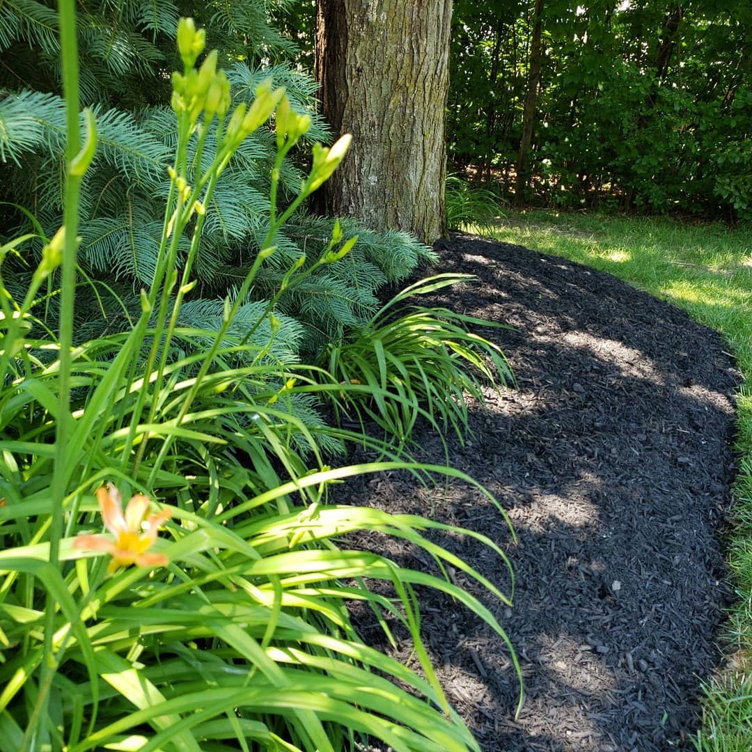 The Grounds Guys of Avon General