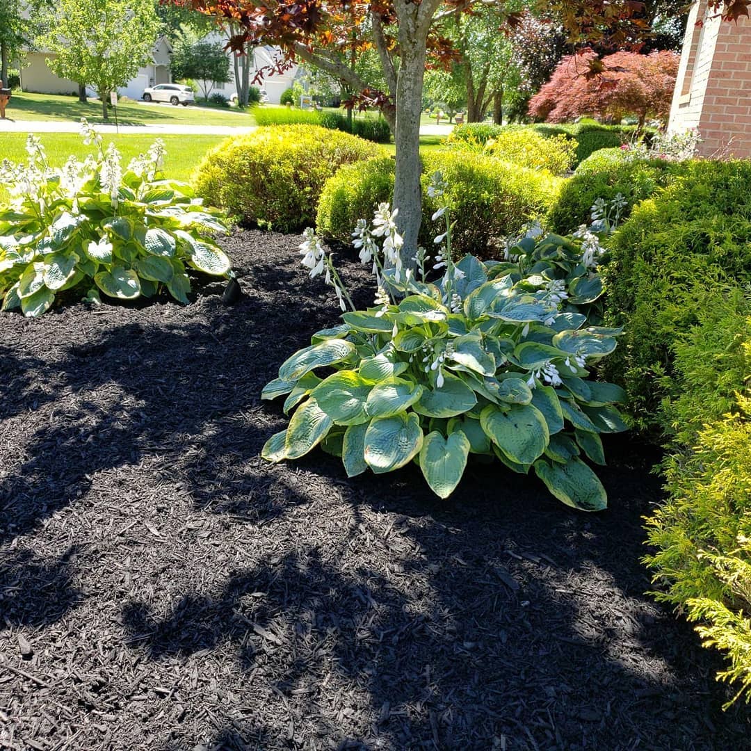 The Grounds Guys of Avon General