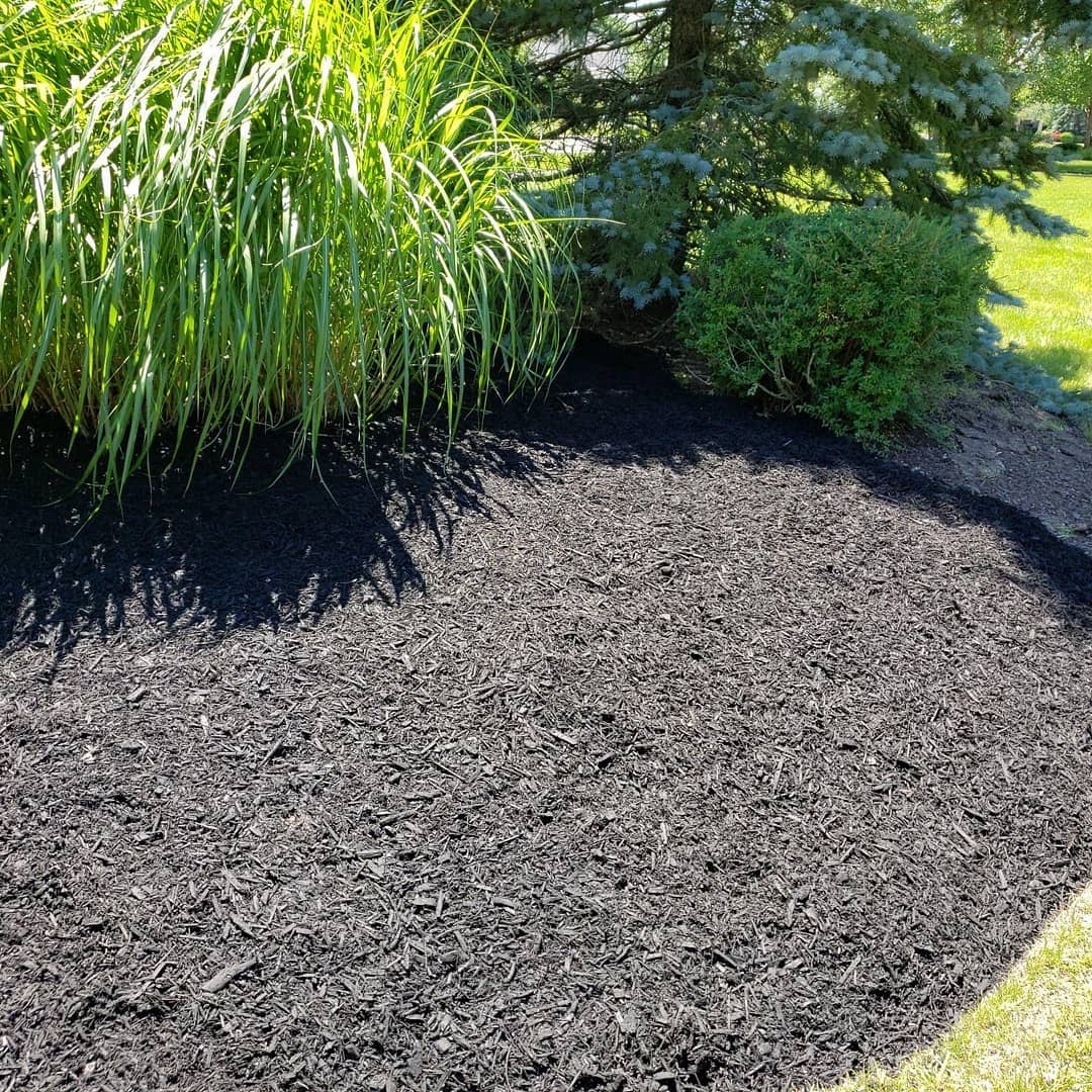 The Grounds Guys of Avon General