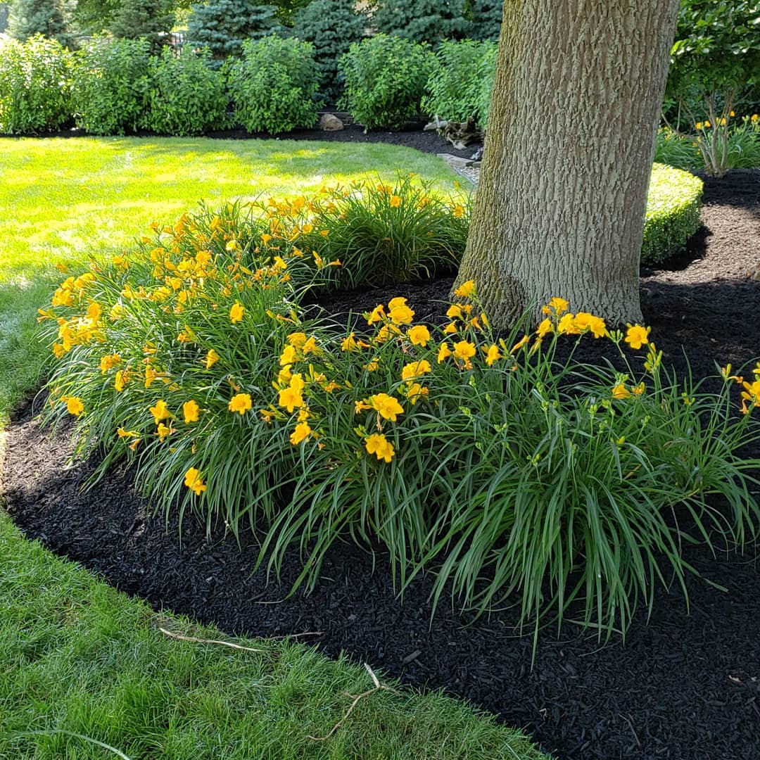 The Grounds Guys of Avon General