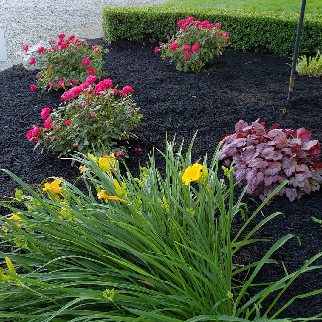 The Grounds Guys of Avon General