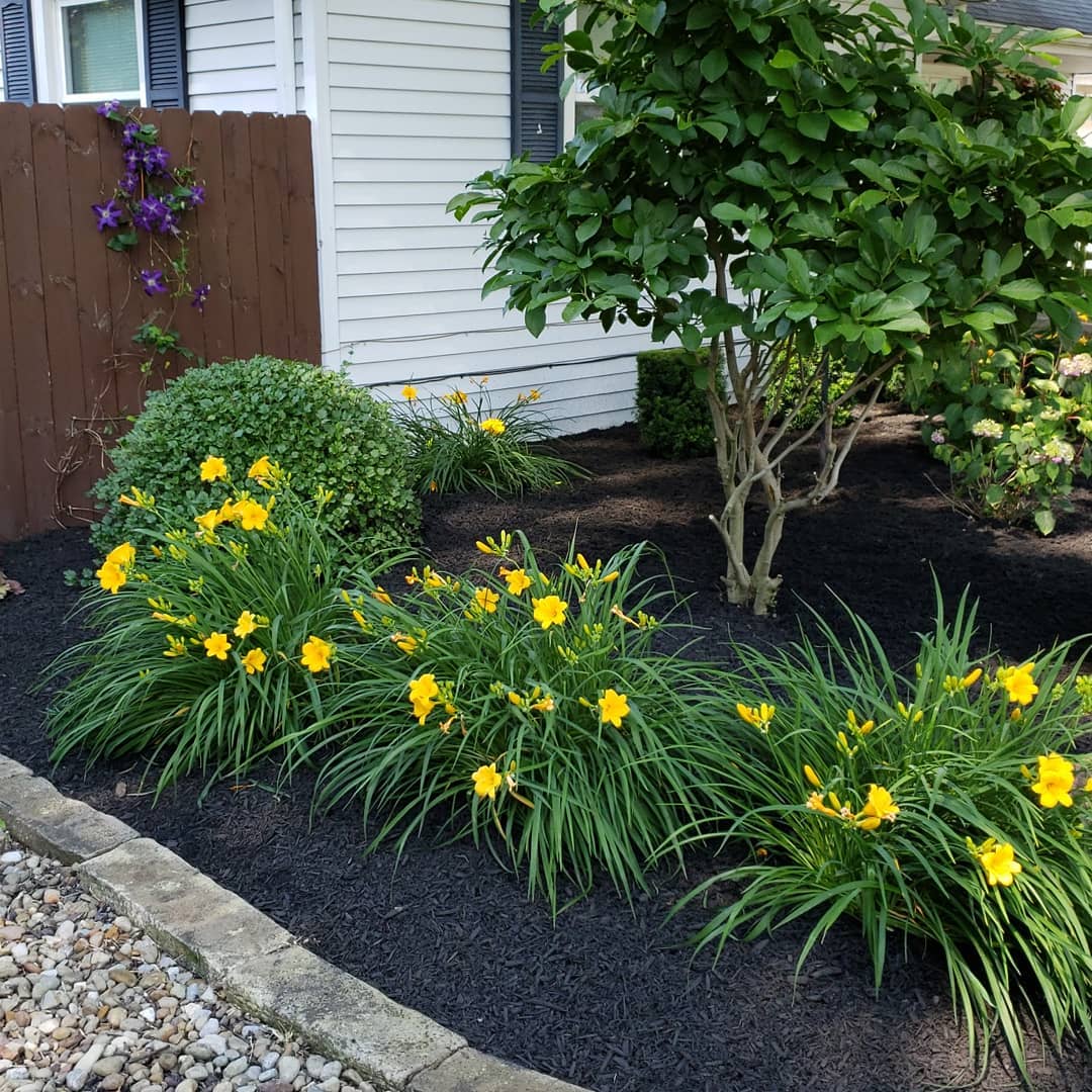 The Grounds Guys of Avon General