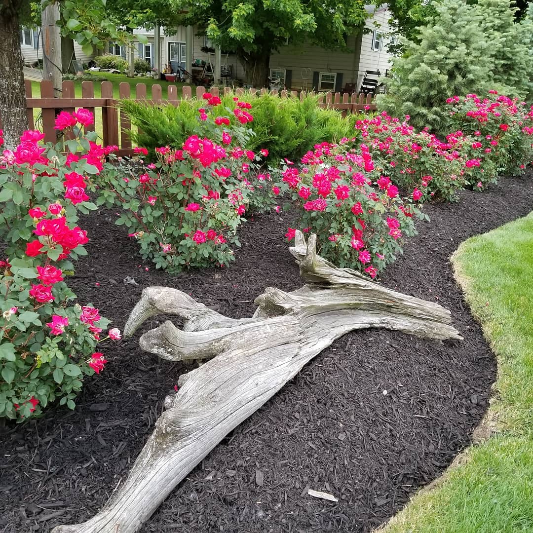 The Grounds Guys of Avon General