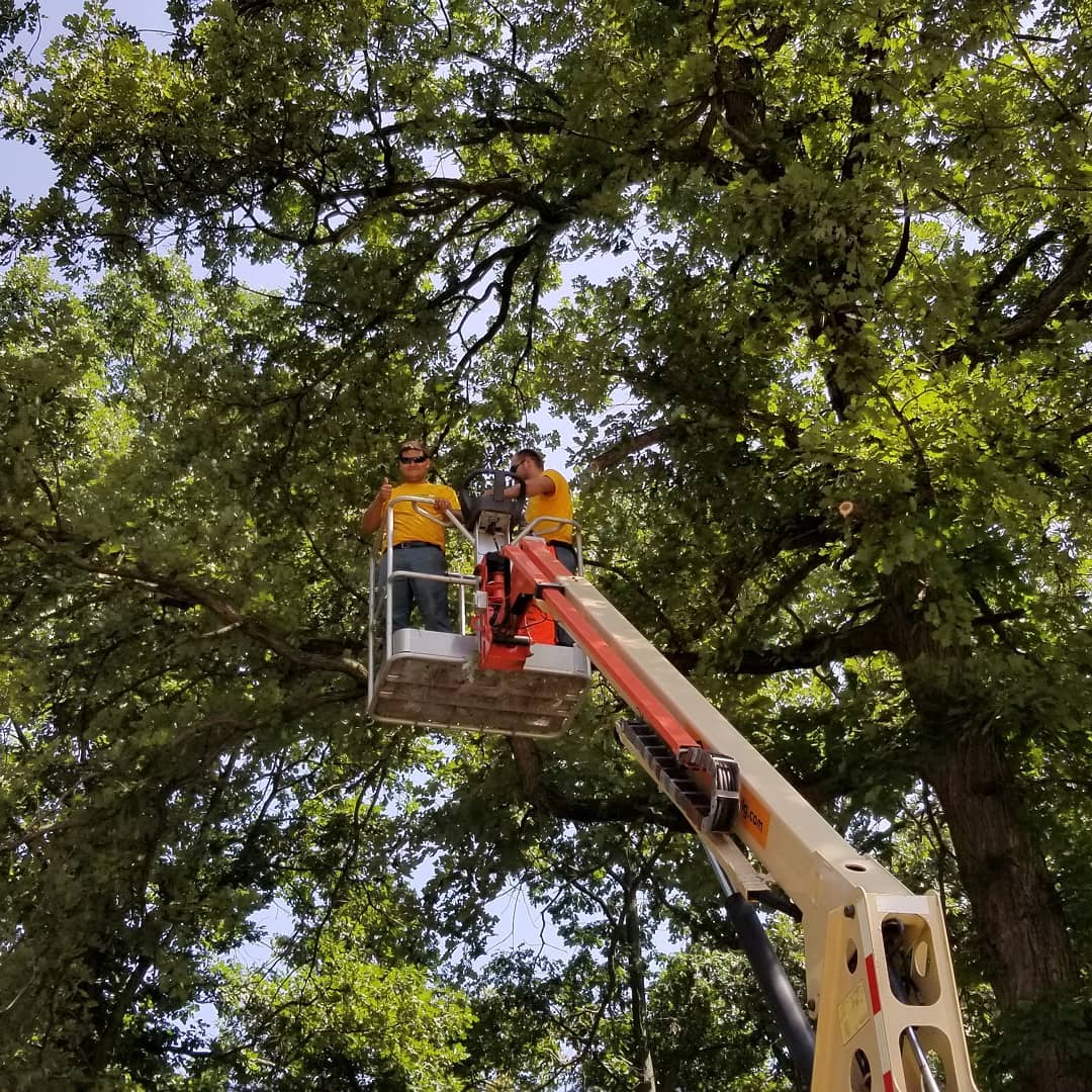 The Grounds Guys of Avon General