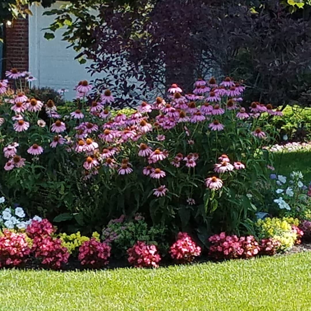 The Grounds Guys of Avon General