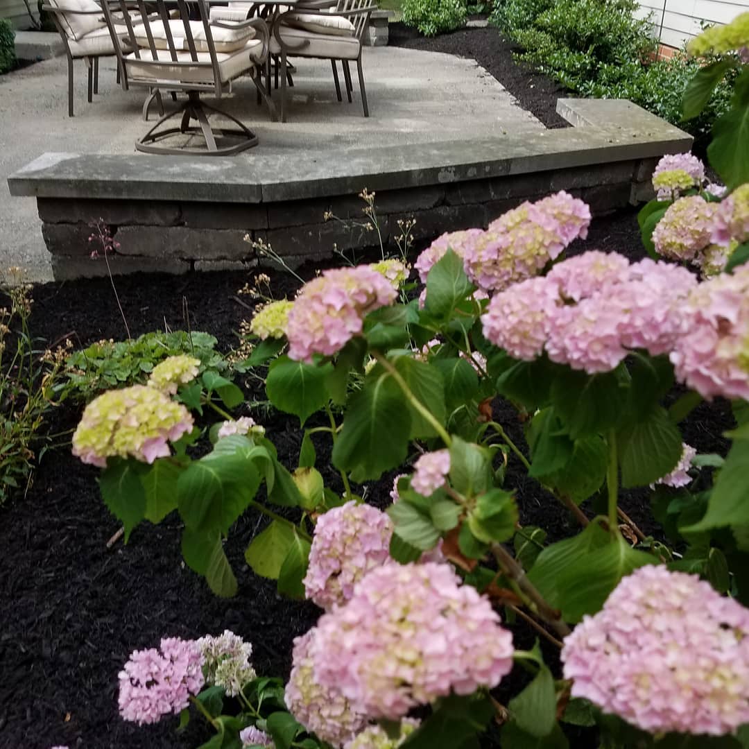 The Grounds Guys of Avon General