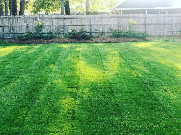 The Grounds Guys of Baton Rouge Lawn Maintenance