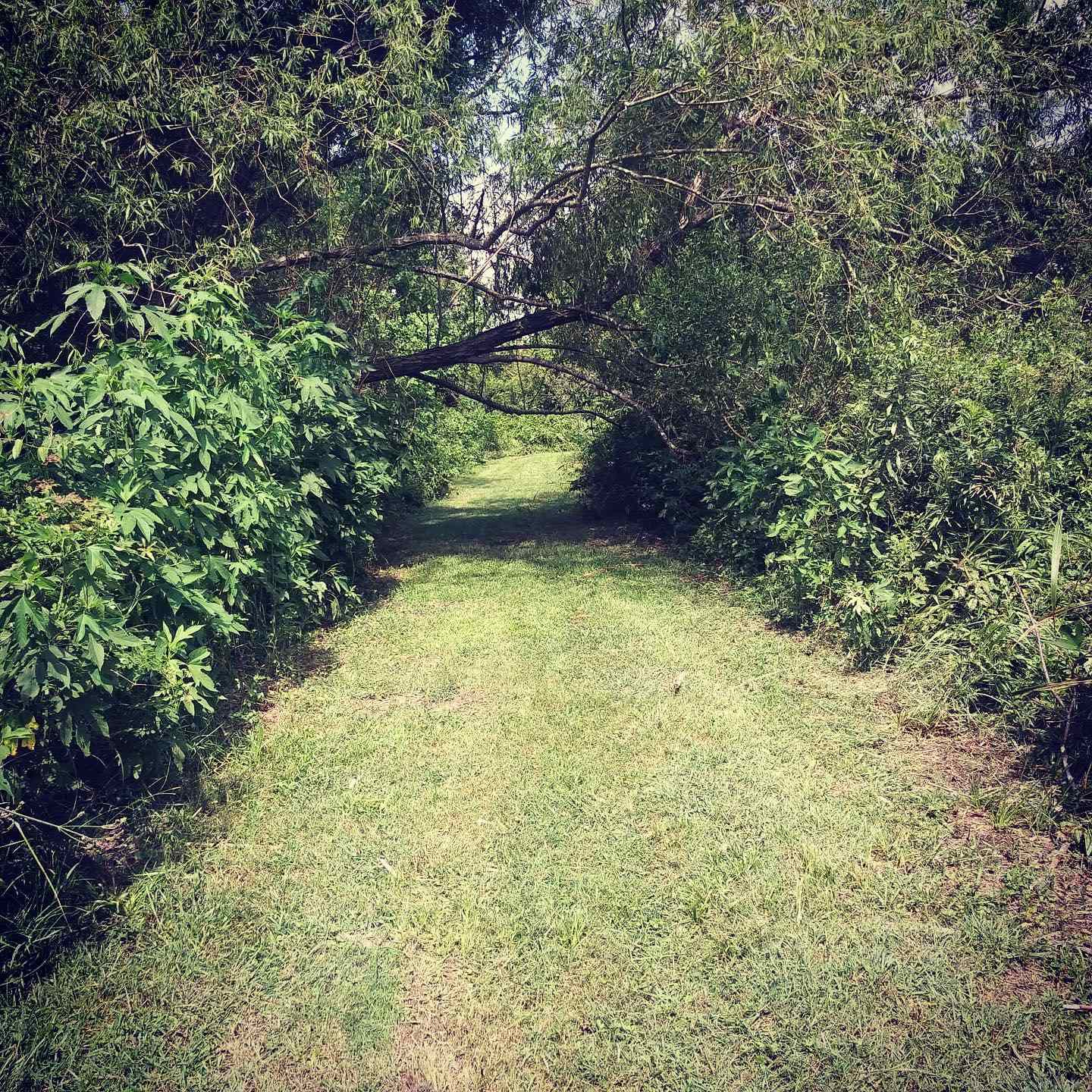 The Grounds Guys of Beaumont General