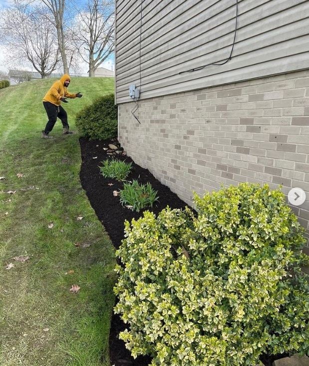 The Grounds Guys of Canton, OH