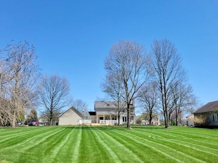 The Grounds Guys of Canton, OH