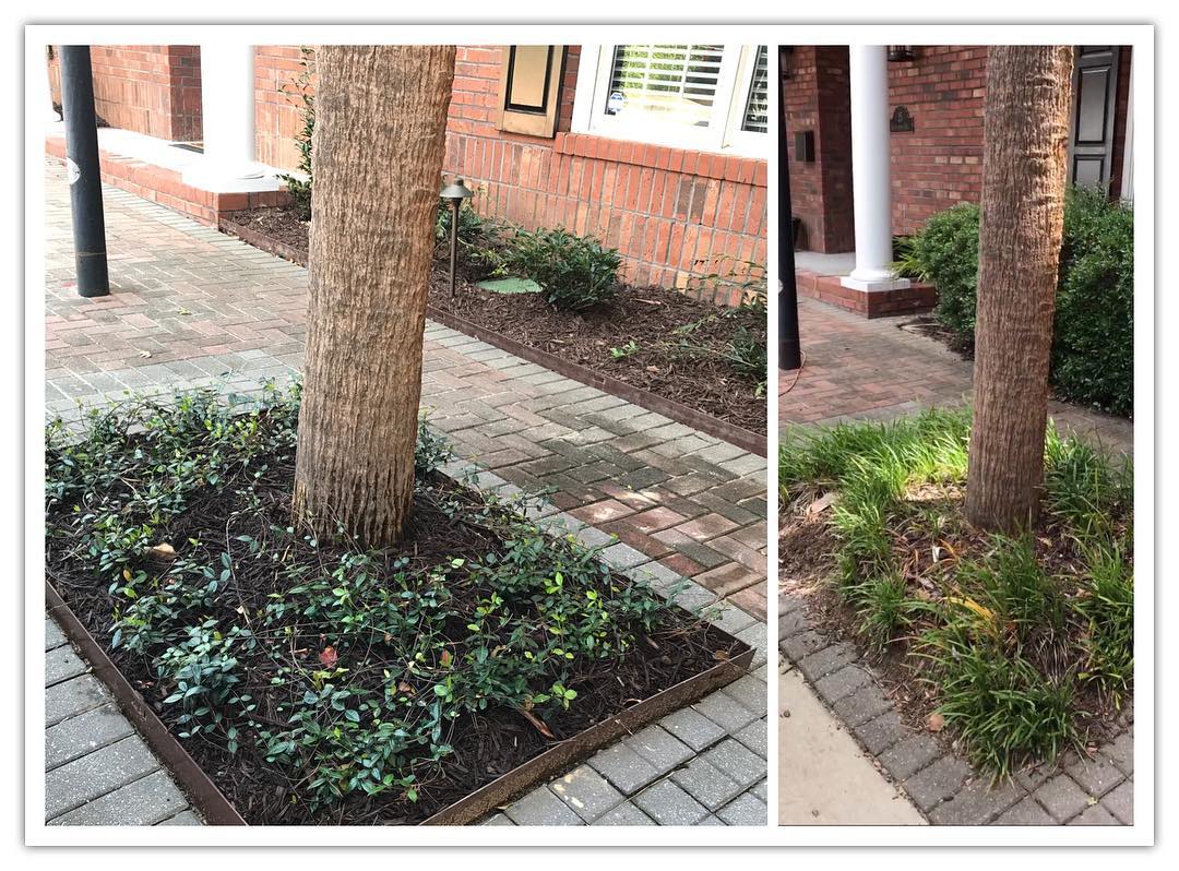 The Grounds Guys of Columbia Landscape Design and Install