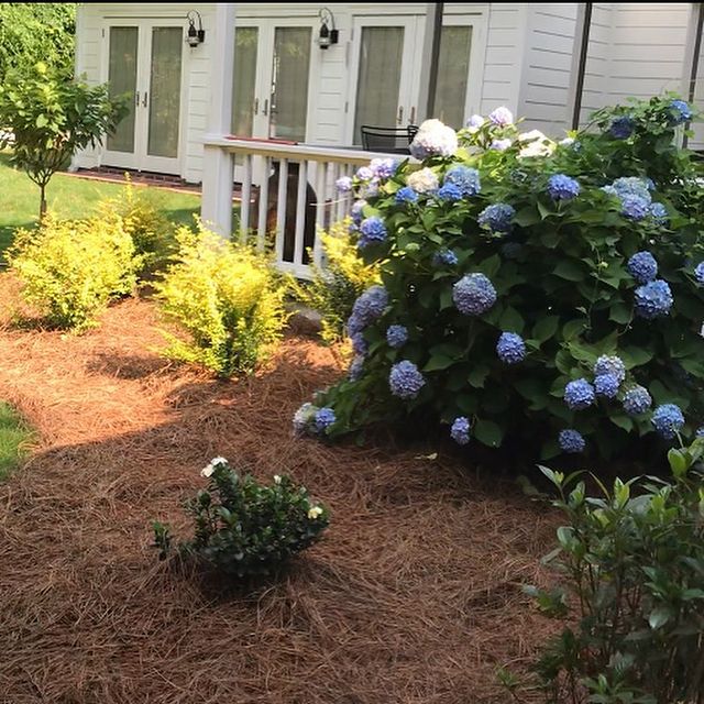 The Grounds Guys of Columbia landscape design