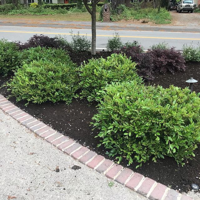 The Grounds Guys of Columbia landscape design