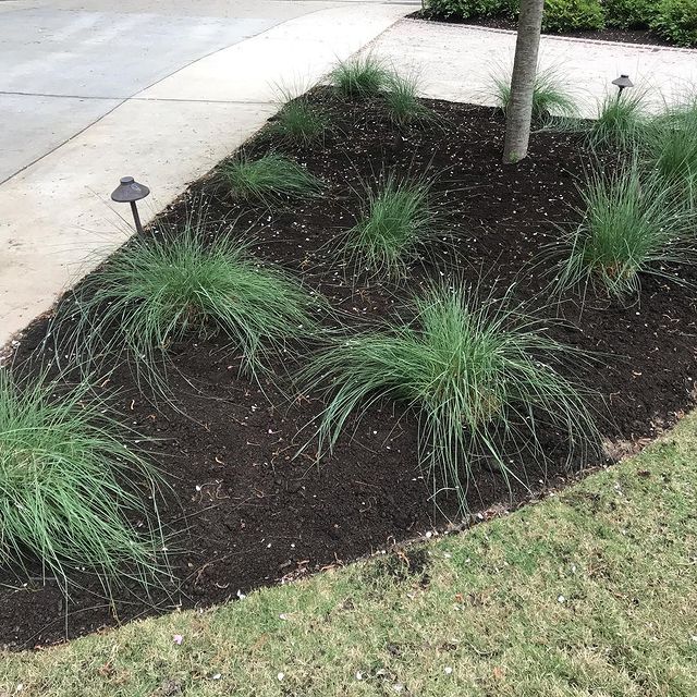 The Grounds Guys of Columbia landscape design