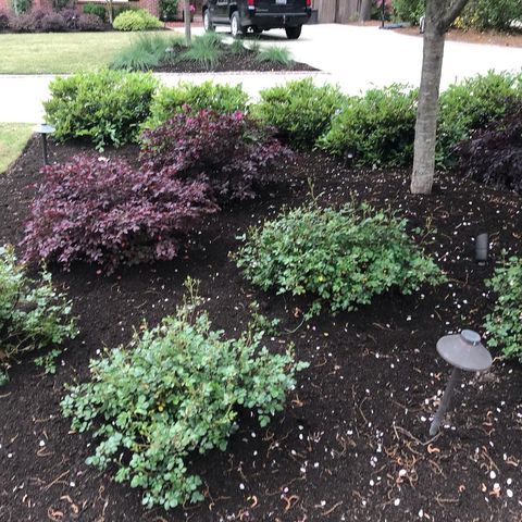 The Grounds Guys of Columbia landscape design