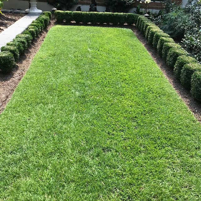 The Grounds Guys of Columbia landscape design