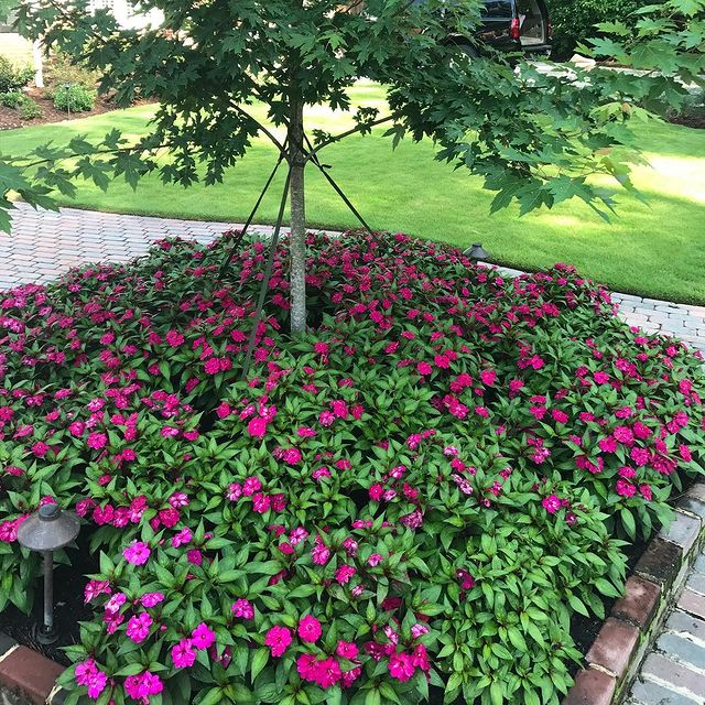 The Grounds Guys of Columbia flower beds