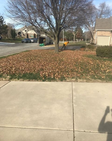 The Grounds Guys of East Wichita seasonal cleanup