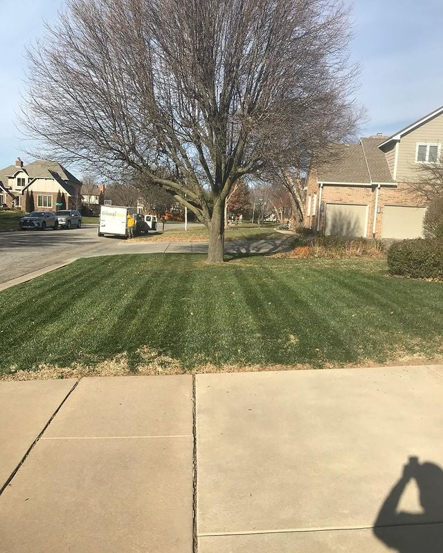 The Grounds Guys of East Wichita lawn maintenance