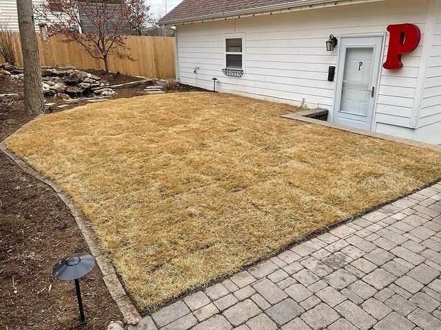 The Grounds Guys of East Wichita sod installation