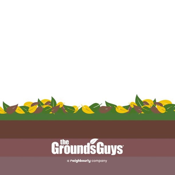 The Grounds Guys of Greenville, SC General