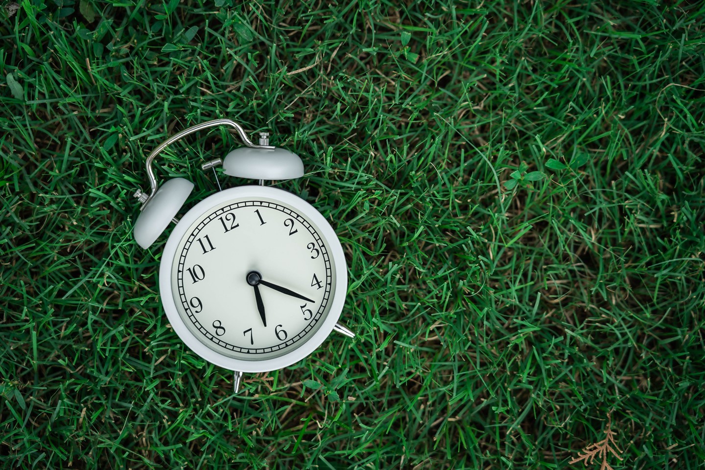 The Grounds Guys of Greenville, SC General