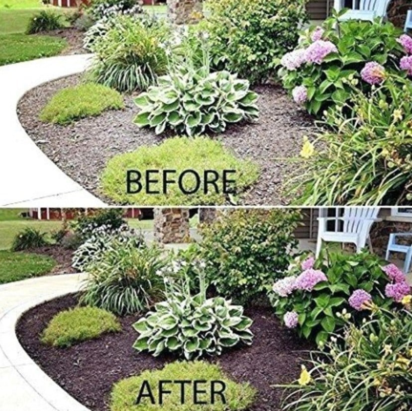 flower beds and gardens