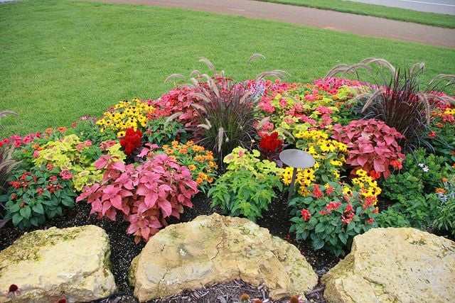 flower beds