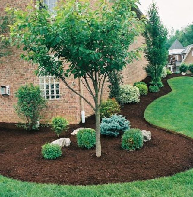 landscape design and install
