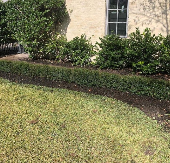 The Grounds Guys of Memorial Park Landscaping