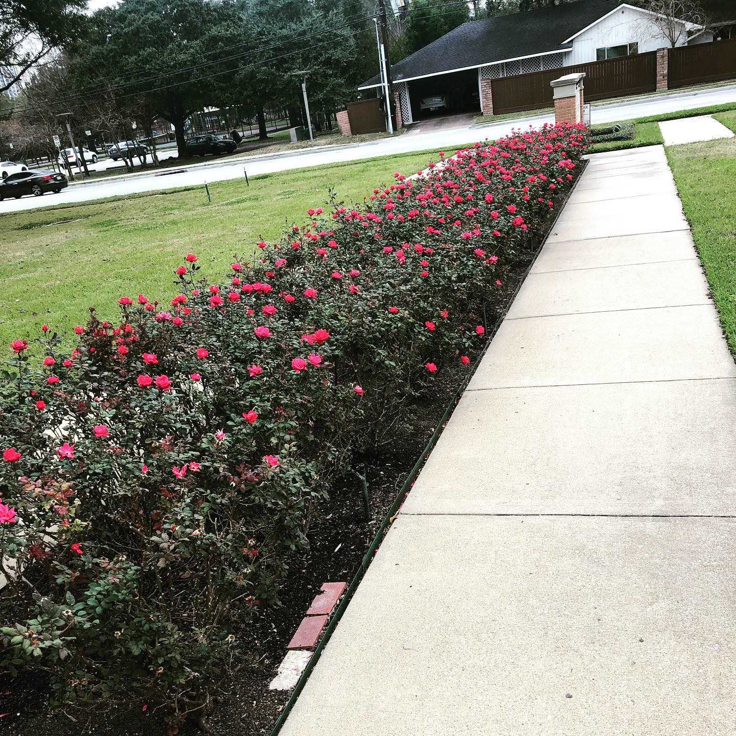 The Grounds Guys of Memorial Park General
