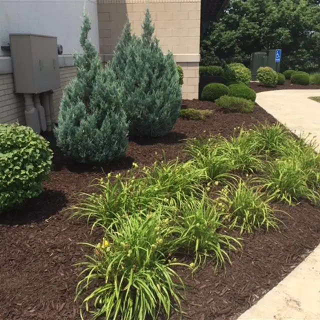 mulched flower bed next to sidewalk