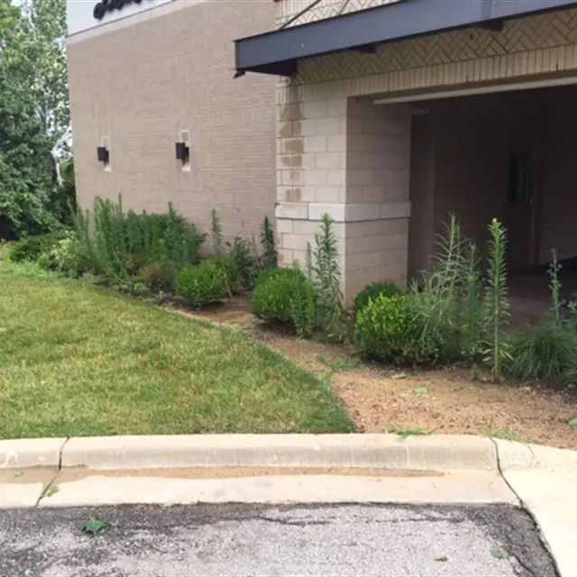 outdated flower beds outside of a commercial propery