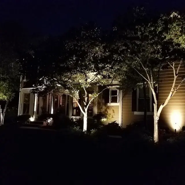 front yard flower beds and trees lit at night
